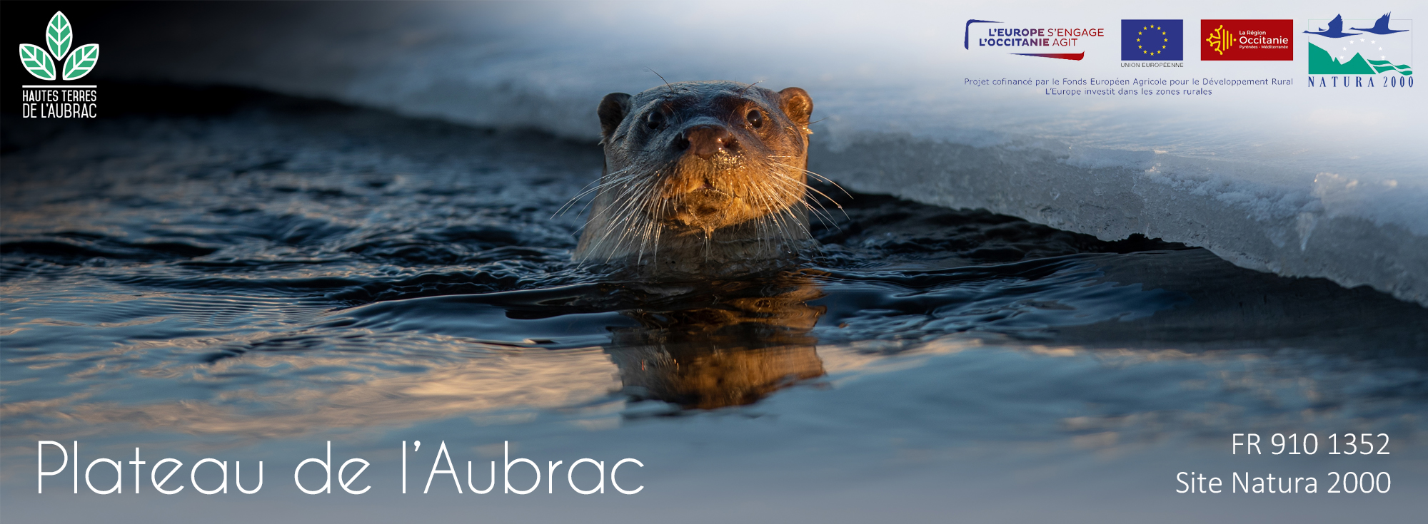 natura 2000 plateau de l'aubrac